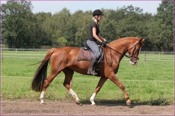 Esther Mast de nieuwe medewerkster van Stal Mira