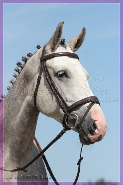 Springwedstrijd 23 januari