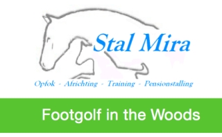 Footgolf in the Woods